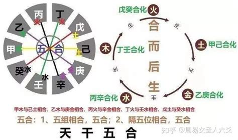 丁壬合婚姻|夫妻八字天干 丁壬合 (天干有丁壬合是什么意思)